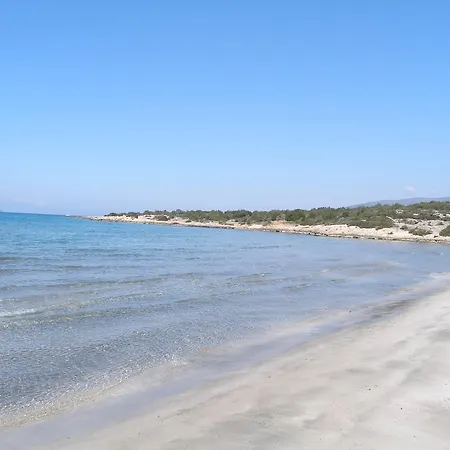 Treehouse Homes Διαμέρισμα