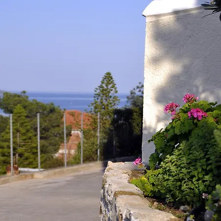 Treehouse Holiday Homes * Ermioni
