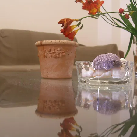 Apartmán Treehouse Homes