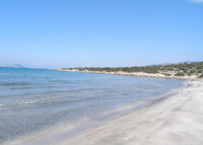 Treehouse Holiday Homes Apartment